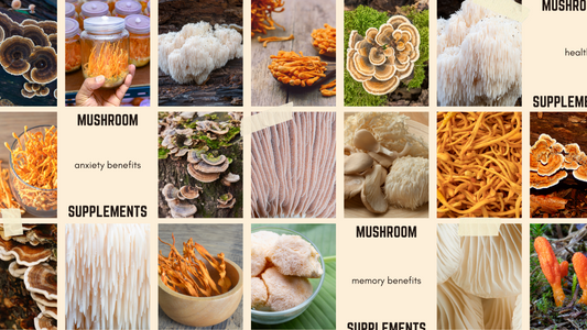 The Science and Benefits of Lion's Mane, Turkey Tail, and Cordyceps Supplements